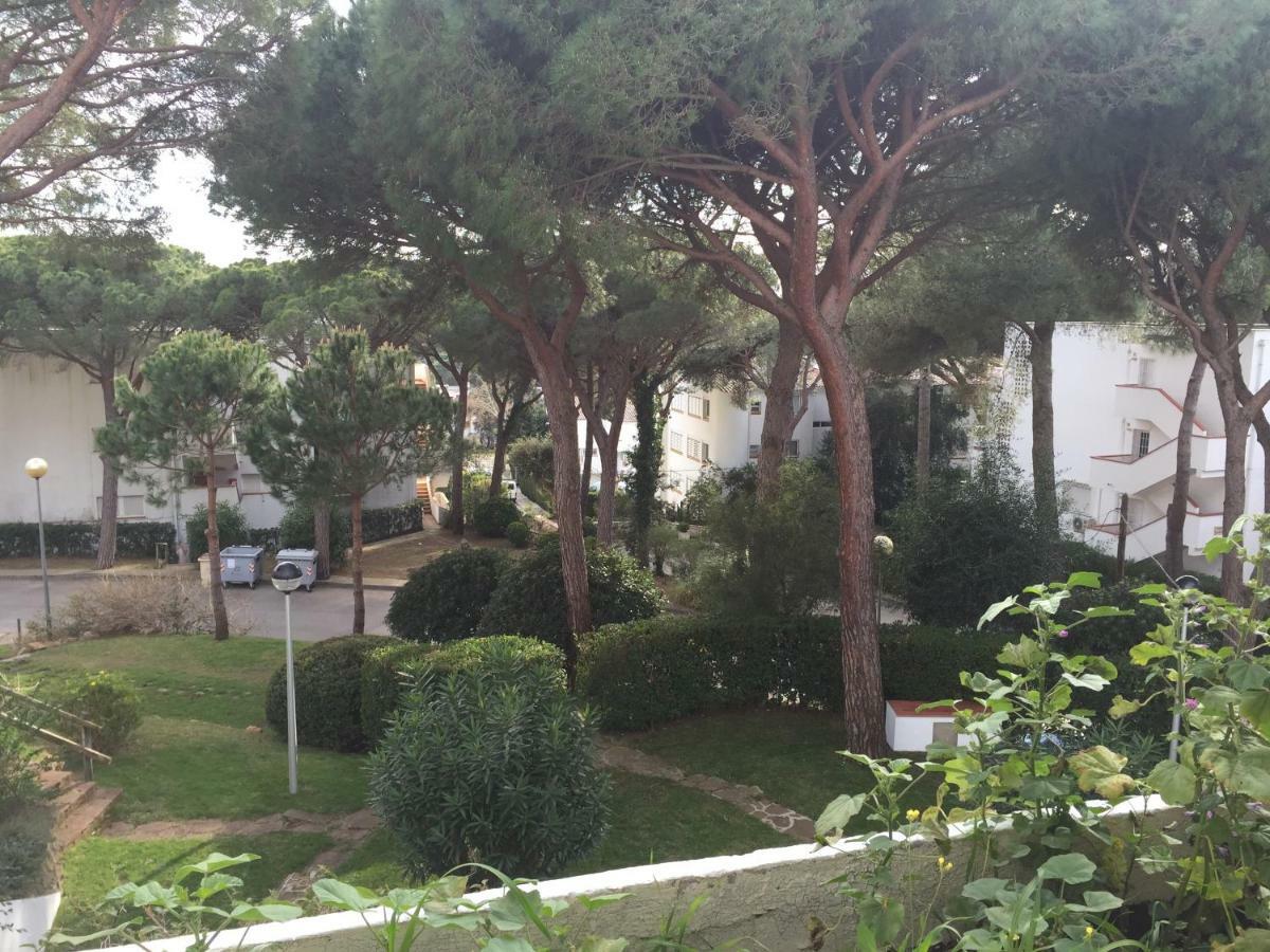 Politur Apartament